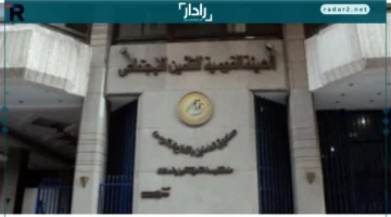 65% ضمانة.. المادة 24 تضمن الحد الأدنى لمعاشات المؤمن عليهم بشكل ملزم